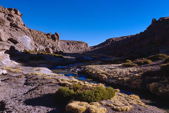 Desert landscape