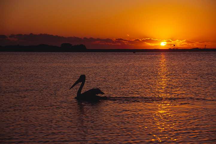 Sunset near Kalbarri, Kalbarri National Park, Western Australia