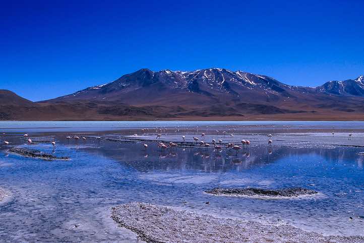 Laguna Hedionda