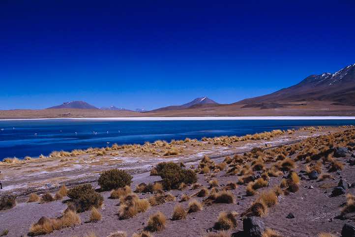 Laguna Cañapa