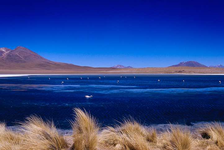 Laguna Cañapa