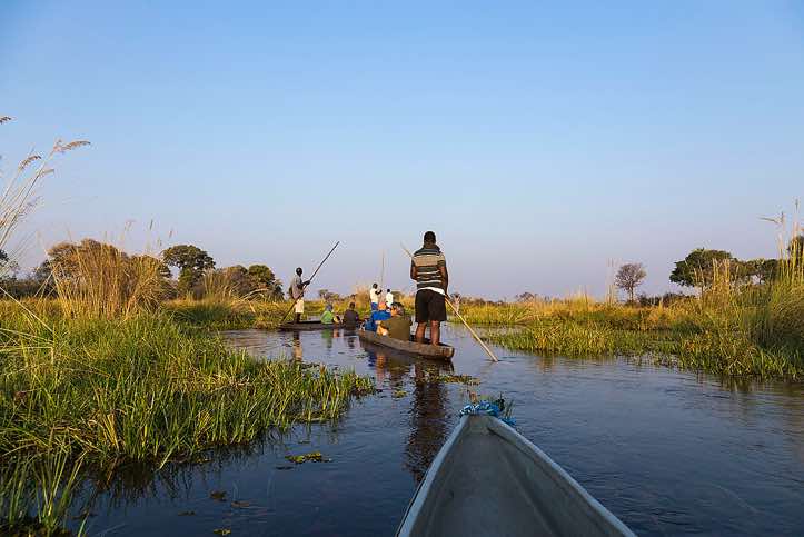 Mokoro ride, Okavango Delta