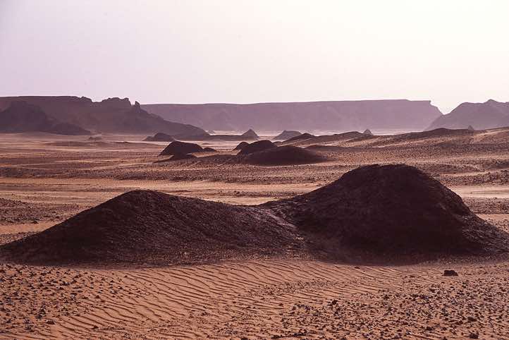 Desert landscape