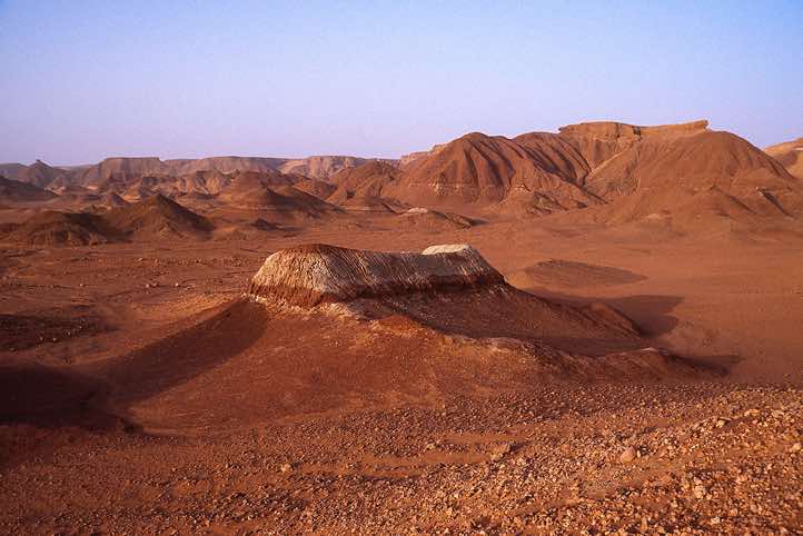 Desert landscape
