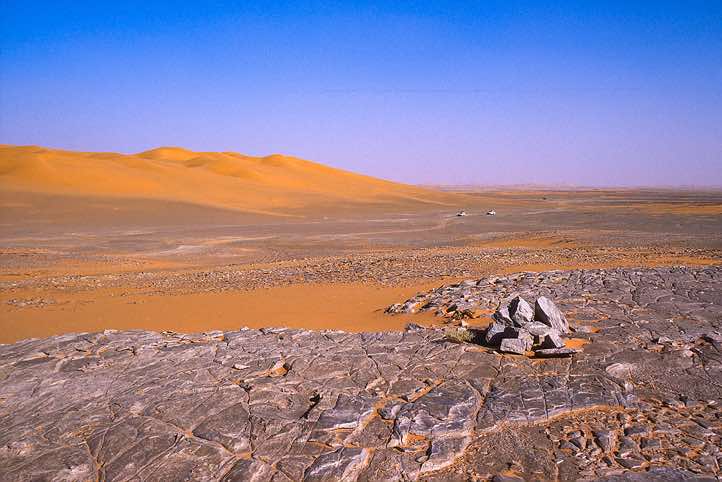 Desert landscape