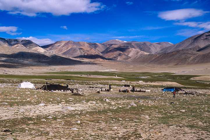 Nomad camp near Karzok, Rupshu region, Ladakh, Spiti to Ladakh Trek
