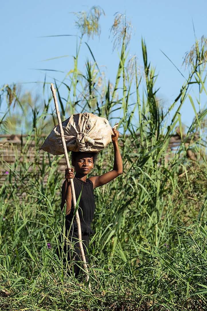 Woman with a heavy load on her head, Tsiribihina River, Western Madagascar
