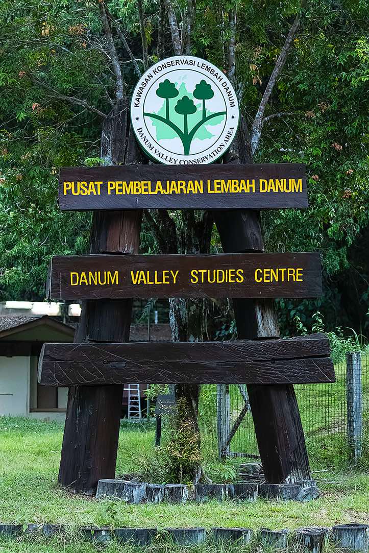 Danum Valley Field Centre (DVSC), Sabah, Borneo