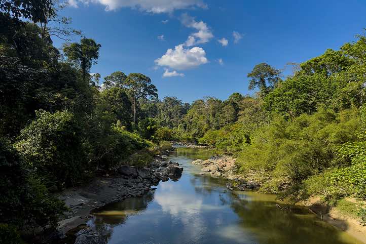 Segama River, seen from suspension bridge, Danum Valley, near Danum Valley Field Centre (DVSC), Sabah, Borneo
