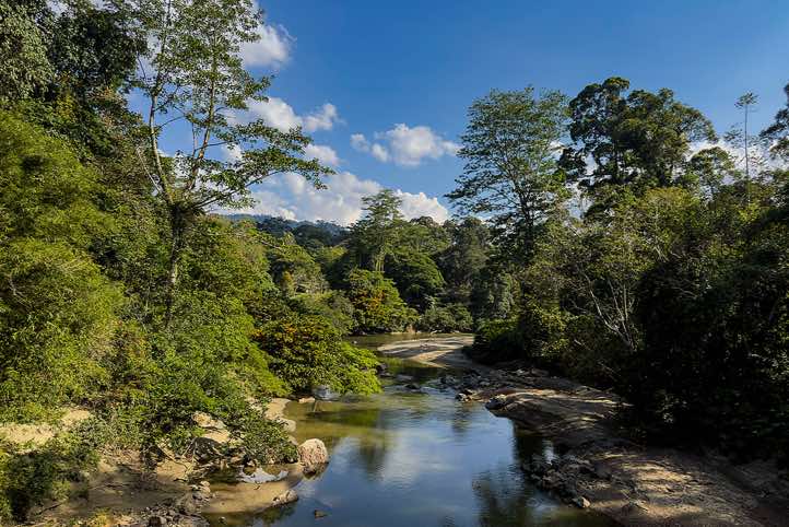 Segama River, seen from suspension bridge, Danum Valley, near Danum Valley Field Centre (DVSC), Sabah, Borneo