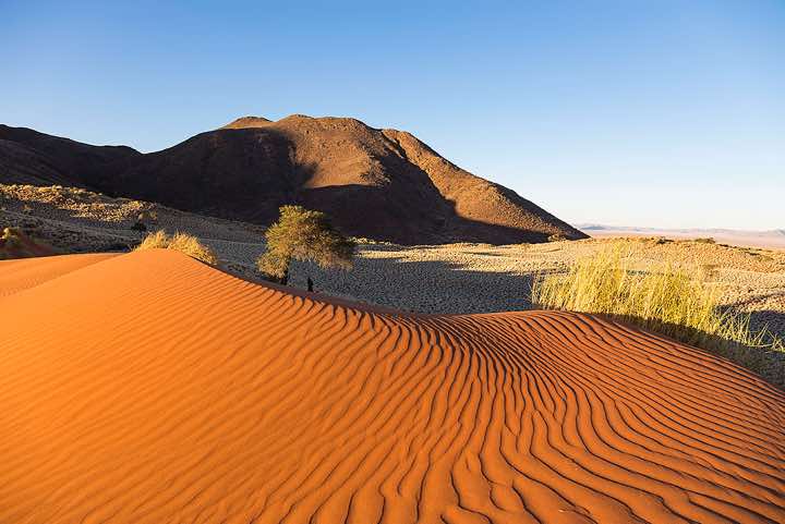 The vivid red dunes of NamibRand at sunset, NamibRand Nature Reserve, Namib Desert