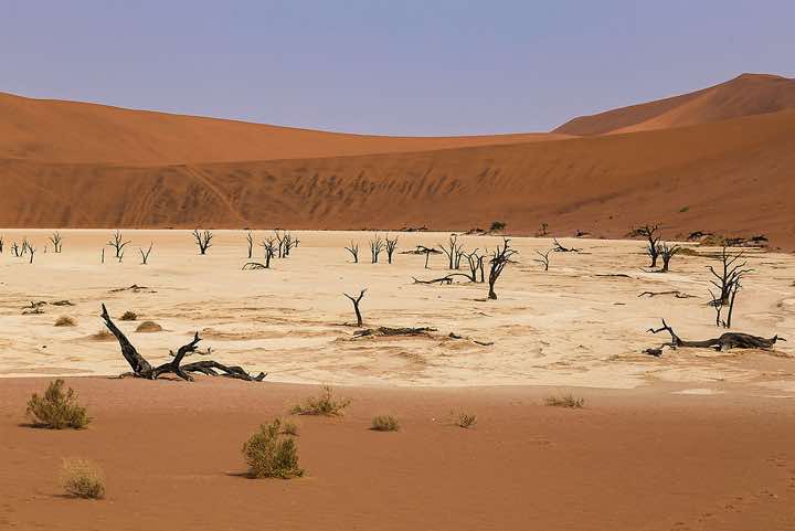 Dead tree skeletons and cracked clay surrounded by sand dunes, Dead Vlei, Namib-Naukluft National Park, Namib Desert