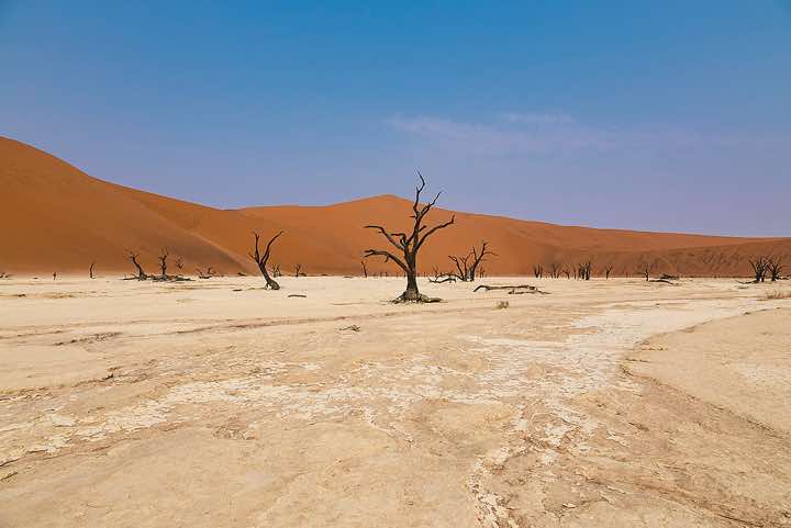 Dead Vlei, Sossusvlei dune field, Namib-Naukluft Park, Namib Desert