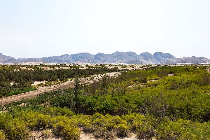 Hoanib riverbed, Damaraland