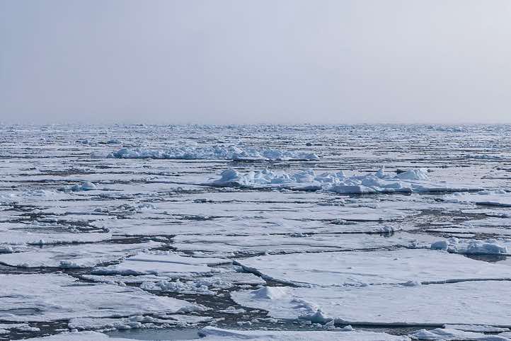 Sea ice stretching to the horizon