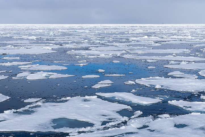 Sea ice stretching to the horizon