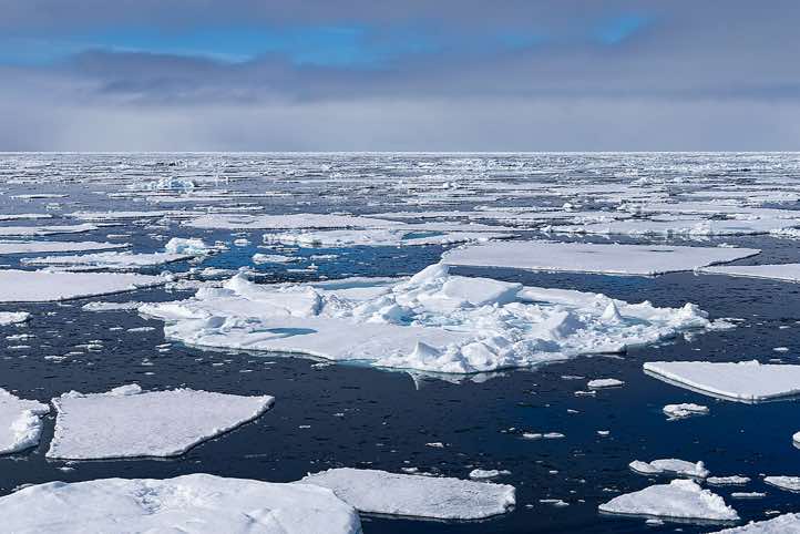 Sea ice stretching to the horizon