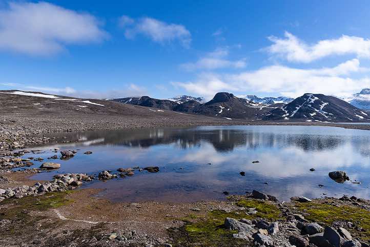 Alicehamna, Raudfjorden
