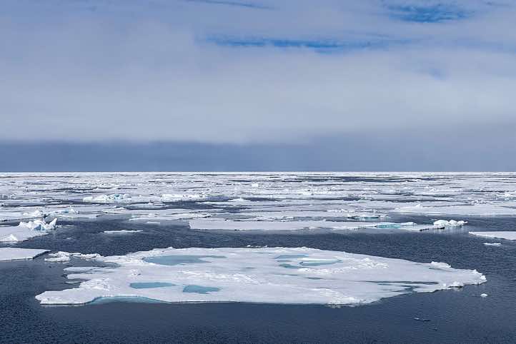 Sea ice stretching to the horizon