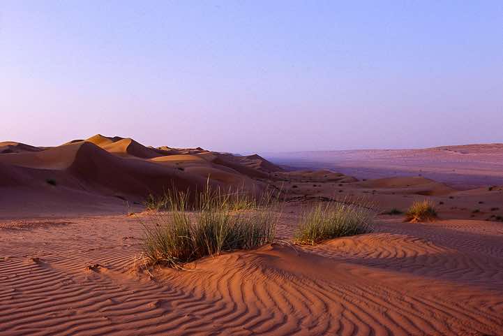 Dunes, Wahiba Sands