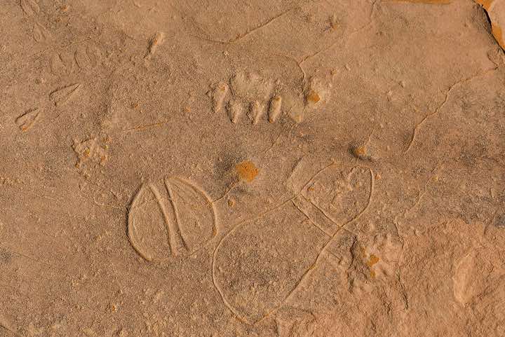 Rock engravings of animal tracks, Neolithic rock art, Ouan Tikal, Tadrart region, Tassili n ́Ajjer National Park, Sahara, North Africa