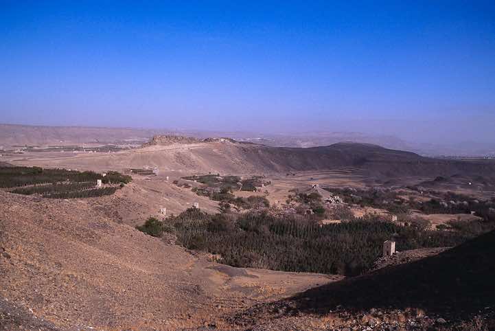 Khat fields near Sanaa (Sana'a)